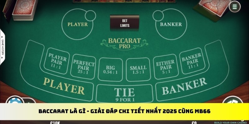 5699bet gà chọi cu cần