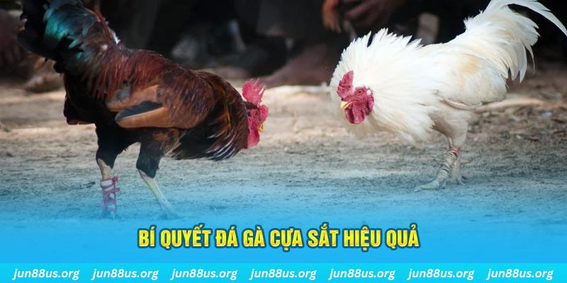 5699bet xin 1 slot là gì