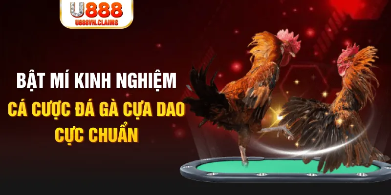 5699bet tỷ lệ cá cược châu á là gì