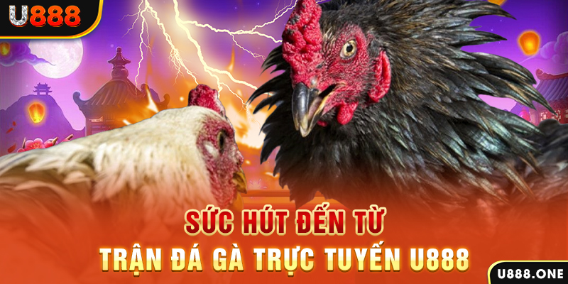 5699bet nổ hũ b29 là gì
