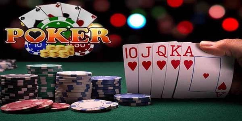 5699bet đá gà thomo trực tiếp