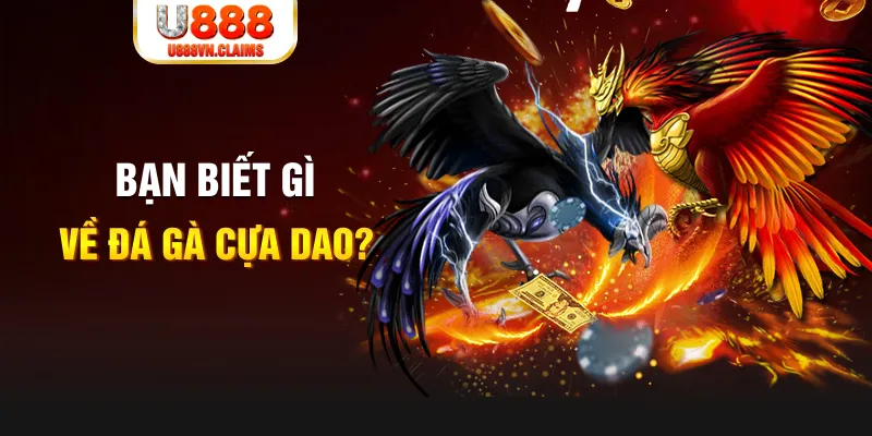 5699bet nổ hủ là gì