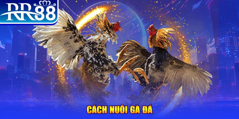 5699bet xổ số an giang