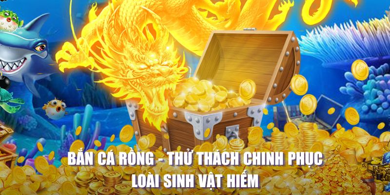 5699bet máy slot game là loại trò chơi gì？