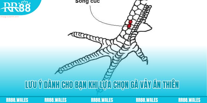 5699bet xổ số đồng nai