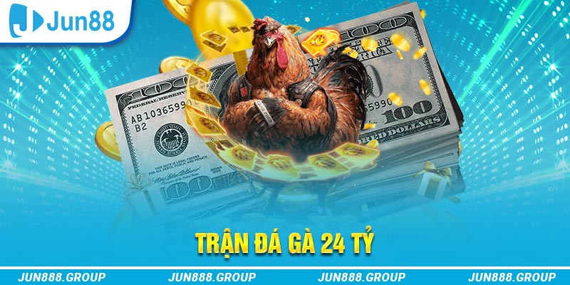 5699bet trực tiếp đá gà