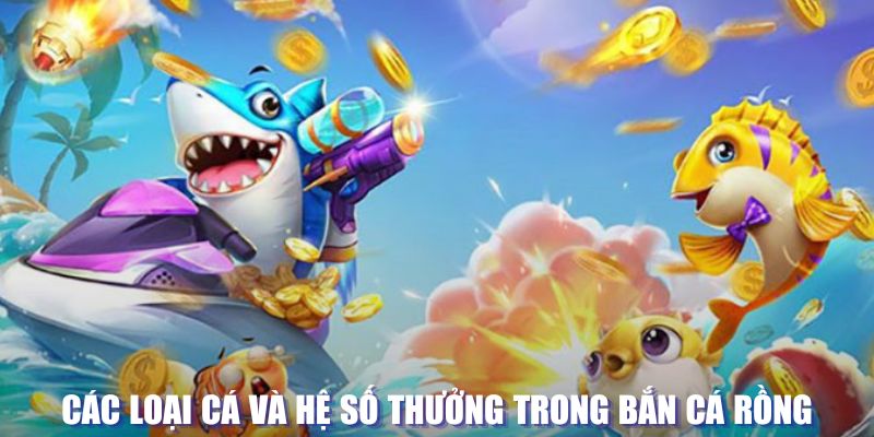 5699bet đăng nhập sòng bạc mới nhất