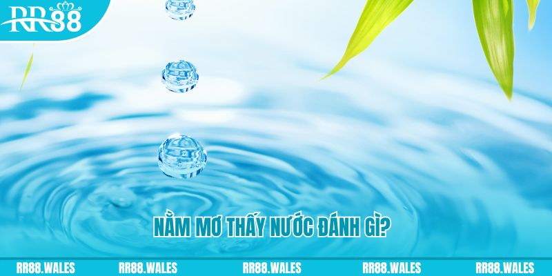 5699bet TP Bắn cá