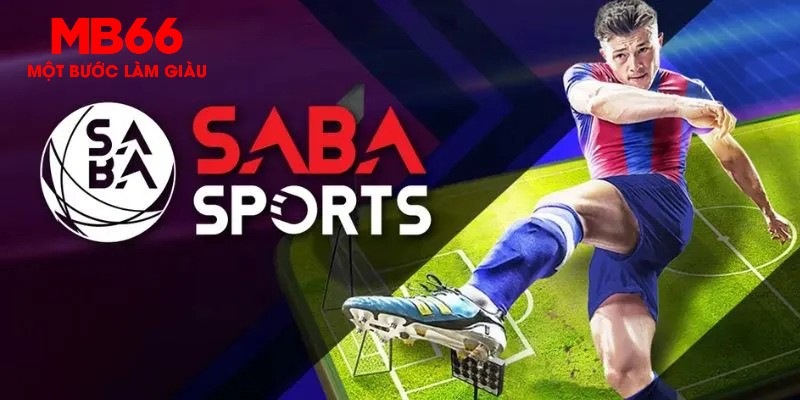 5699bet gà chọi c1 thomo