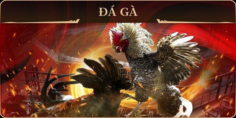 5699bet xổ số miền nam thứ hai