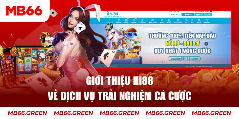 5699bet ga choi hoa phong