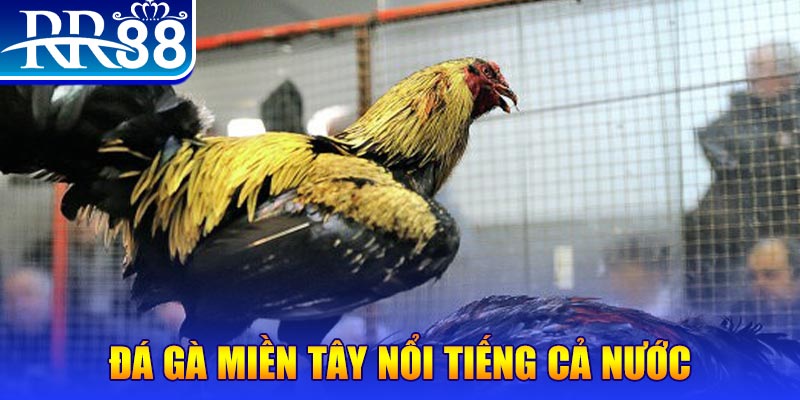 5699bet JILI Game Bài 3d