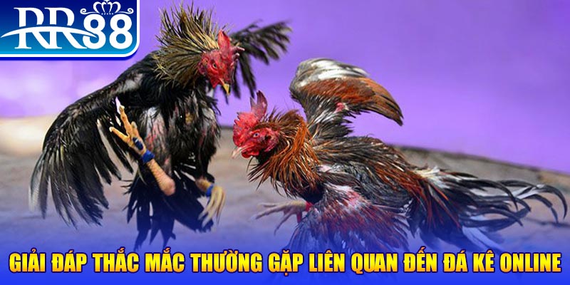 5699bet xổ số đà lạt