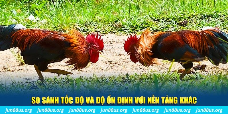 5699bet đá gà hôm nay