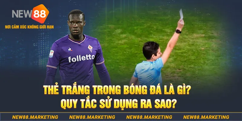 5699bet gà chọi mộc hóa