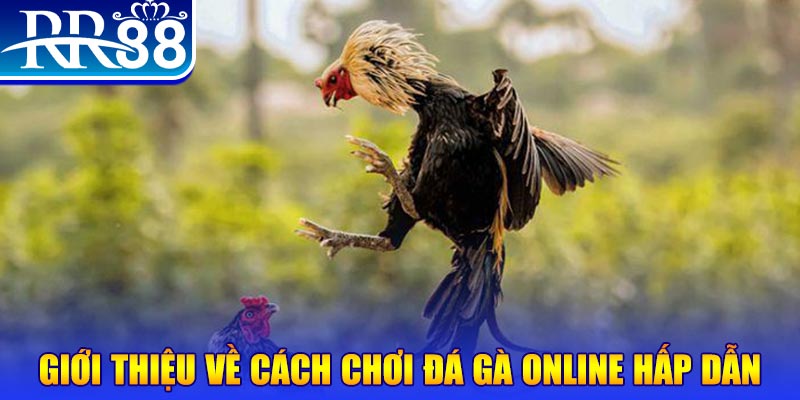 5699bet game nổ hũ rút tiền mặt là gì