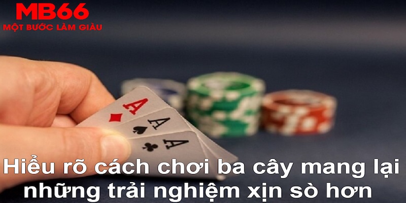 5699bet xổ số đài bắc