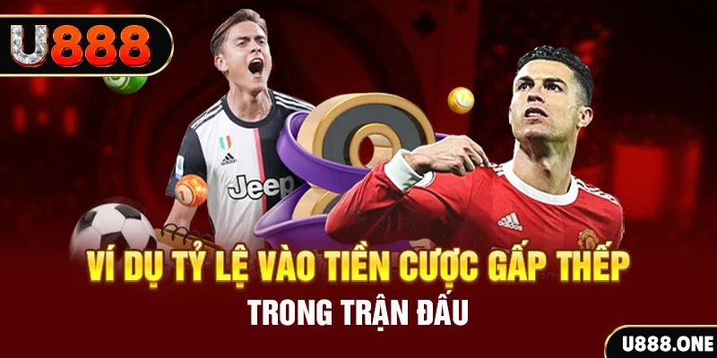 5699bet kết quả xổ số 30 ngày