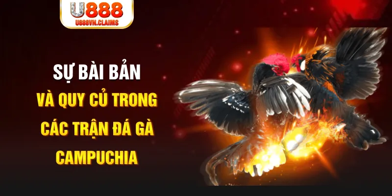5699bet YGR Điện Tử