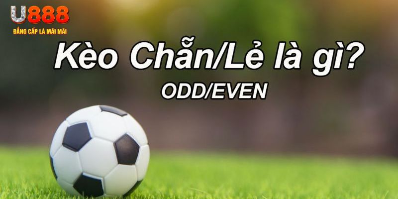 5699bet đăng nhập poker hôm nay