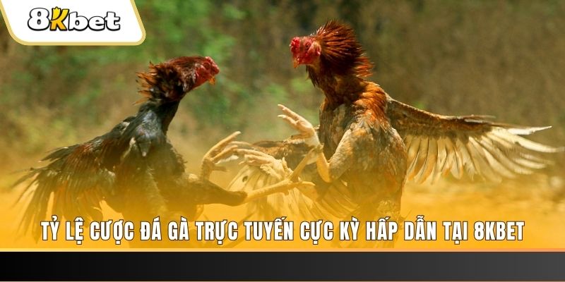 5699bet đăng nhập phỏm trực tiếp