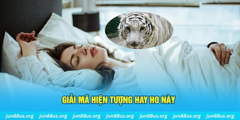 5699bet đăng nhập nổ hũ uy tín