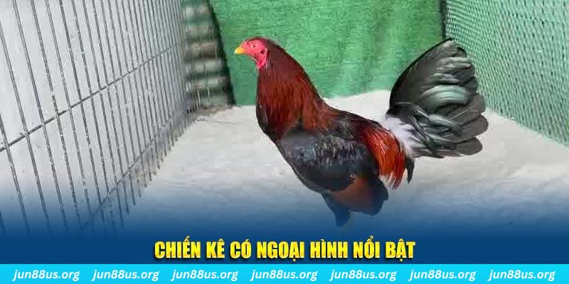 5699bet chạy quảng cáo cho game bài bị phạt như thế nào