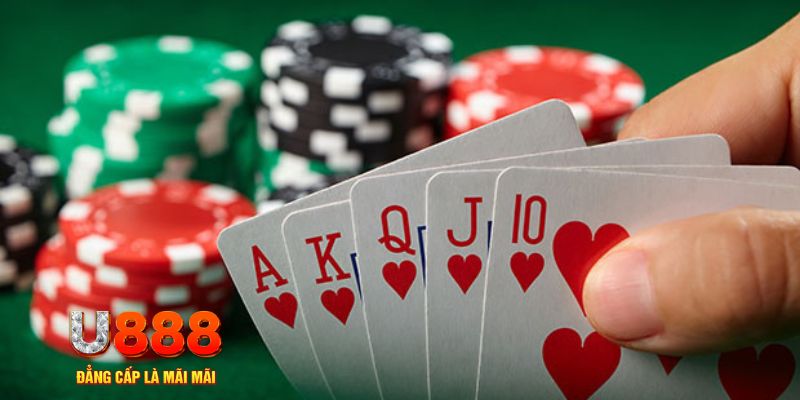5699bet đá gà trực tiếp thomo 67