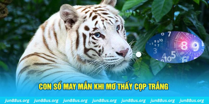 5699bet đá gà trực tiếp 88